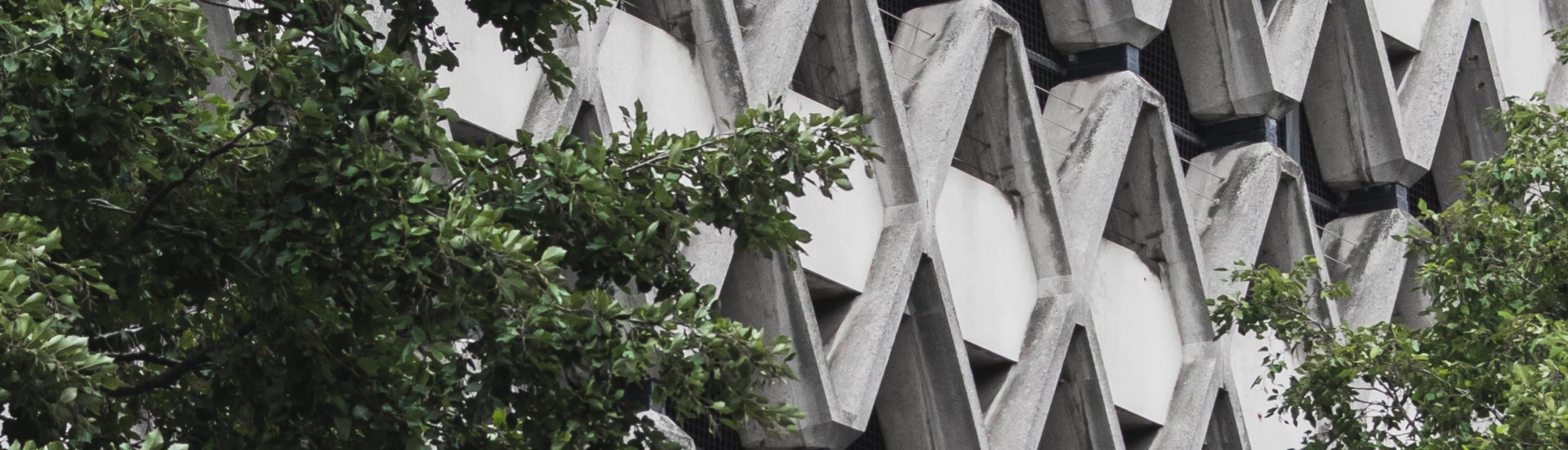 Urban building with foliage