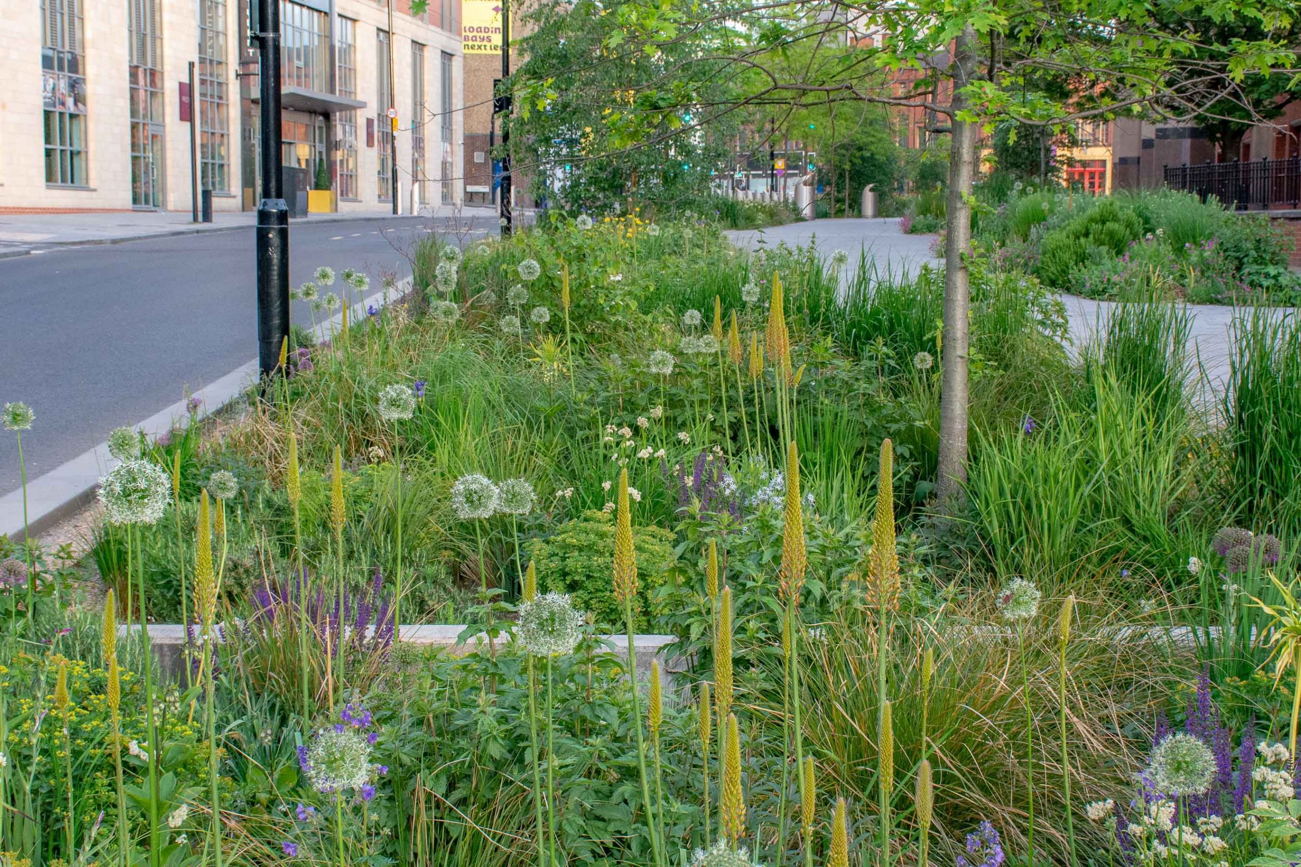 Can we turn ‘grey’ into ‘green’?