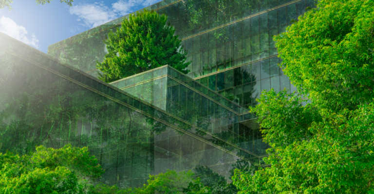 Workshop | Green Infrastructure & Biodiversity Net Gain